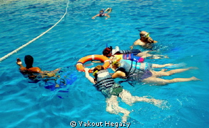 Learn surface diving(SHARM el-shiekh by Yakout Hegazy 